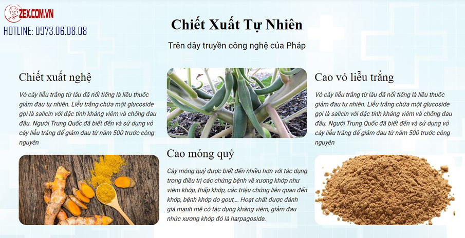 thành phần joint max