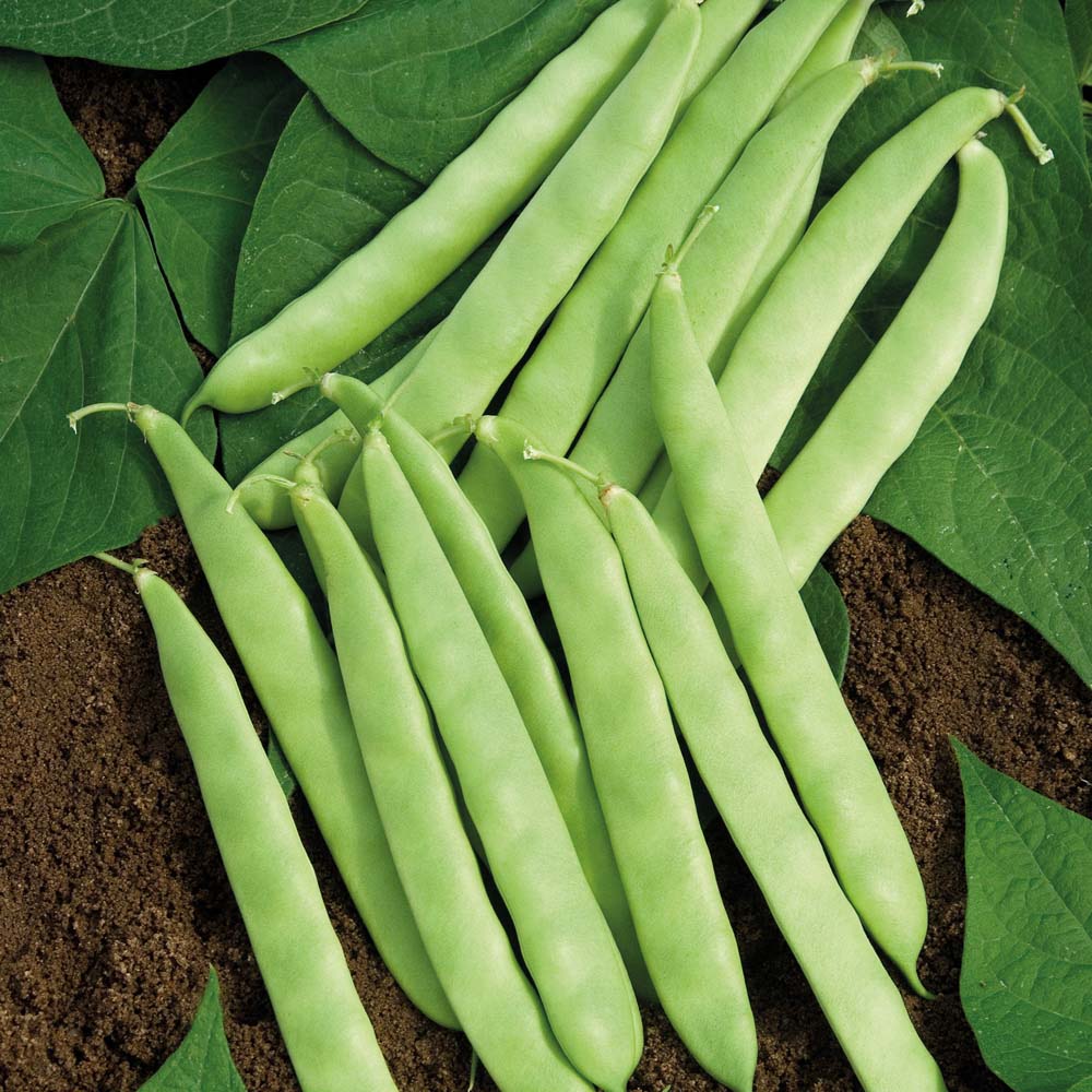 ăn gì giúp tăng cơ giảm mỡ