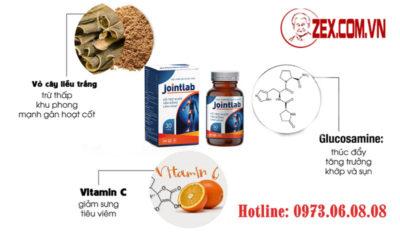 thành phần jointlab