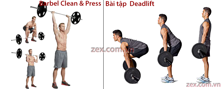 bài tập đẩy cử tạ cách tăng cơ bắp tại nhà