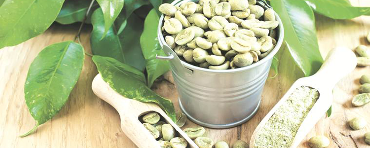 green coffee là gì green coffee là gì