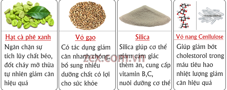 thành phần của green coffee là gì thành phần của green coffee là gì