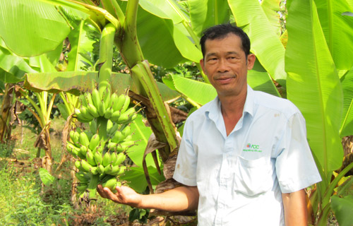 nhận xét khách hàng