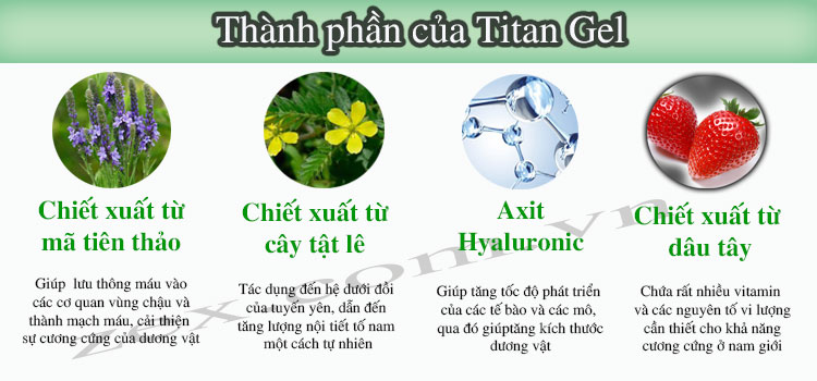 thành phần của gel titan