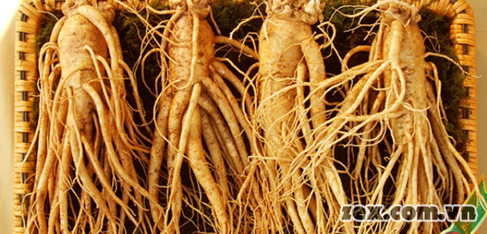 thực phẩm bổ thận tráng dương tăng cường sinh lực