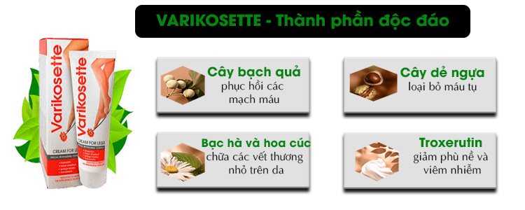 Thành phần của kem varikosette